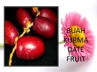 BUAH
KURMA
 DATE
 FRUIT
 