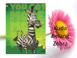 Kuda
Belang
Zebra
 