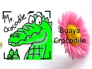 Buaya
Crocodile
 