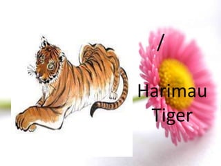 /

Harimau
 Tiger
 