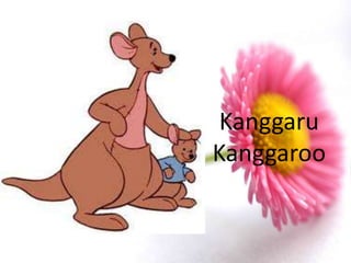 Kanggaru
Kanggaroo
 