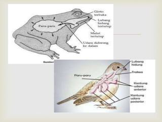 Haiwan Bernafas Tahun 4
