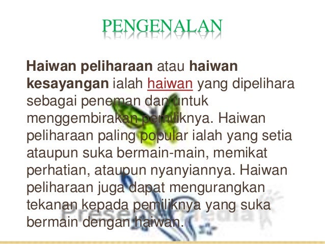 Classifieds majalahcom classifieds haiwan peliharaan 