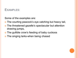 EXAMPLES:
Some of the examples are:
 The courting peacock’s eye catching but heavy tail,
 The threatened gazelle’s spectacular but attention
drawing jumps,
 The gullible crow’s feeding of baby cuckoos
 The singing larks-when being chased

 