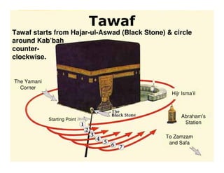 Tawaf
Tawaf starts from Hajar-ul-Aswad (Black Stone) & circle
around Kab’bah
counter-
clockwise.


The Yamani
  Corner
                                                 Hijr Isma’il



                                                     Abraham’s
             Starting Point
                                                      Station

                                               To Zamzam
                                                and Safa
 