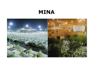 MINA
 