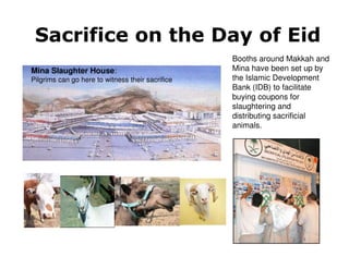 Sacrifice on the Day of Eid
                                                  Booths around Makkah and
Mina Slaughter House:                             Mina have been set up by
Pilgrims can go here to witness their sacrifice   the Islamic Development
                                                  Bank (IDB) to facilitate
                                                  buying coupons for
                                                  slaughtering and
                                                  distributing sacrificial
                                                  animals.
 
