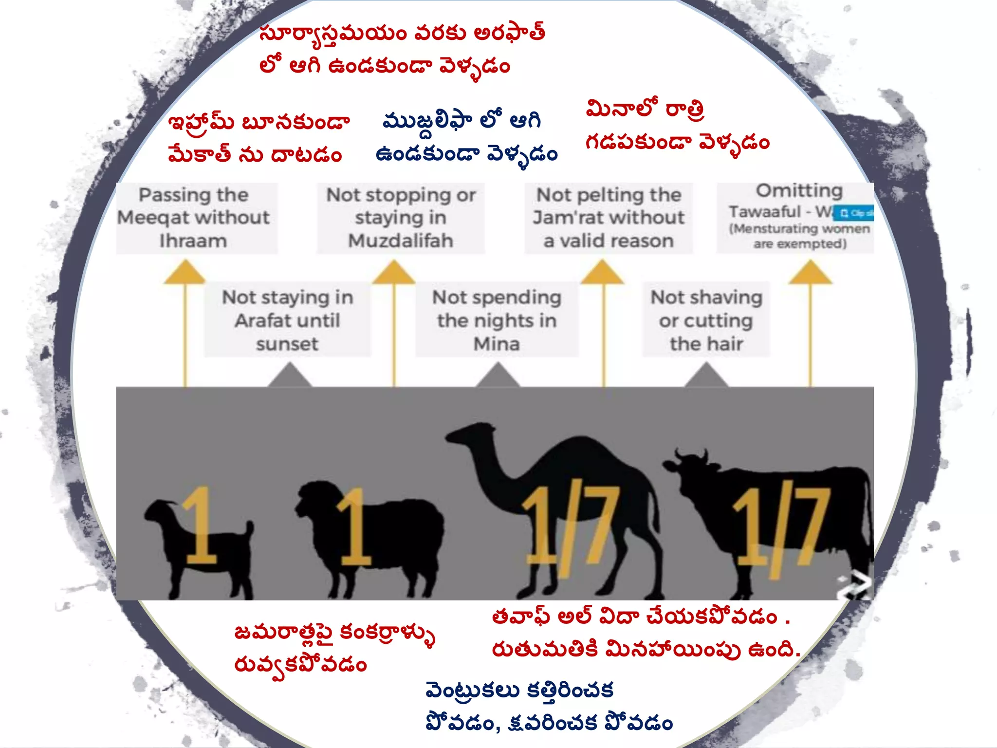 ఇహ్రమ బూనక్ుాండా
మేక్త నర దాటడాం
స్ూర్ేస్తమయాం వరక్ు అరఫ్త
లల ఆగి ఉాండక్ుాండా వెళ్ేడాం
ముజులిఫ్ లల ఆగి
ఉాండక్ుాండా వెళ్ేడాం
మినాలల ర్త్తు
గడప్క్ుాండా వెళ్ేడాం
తవ్ఫ అల విదా చేయక్పో వడాం .
రతతుమత్తకి మినహ్యిాంప్ు ఉాంద.
వెాంటరు క్లు క్త్తతరిాంచక్
పో వడాం, క్షవరిాంచక్ పో వడాం
జమర్తలపెై క్ాంక్ర్ర ళ్ళే
రతవీక్పో వడాం
 