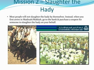 Mission 2 – Slaughter the
Hady
• Most people will not slaughter the hady by themselves. Instead, when you
first arrive in Madinah/Makkah, go to the bank & purchase a coupon for
someone to slaughter the hady on your behalf.
 