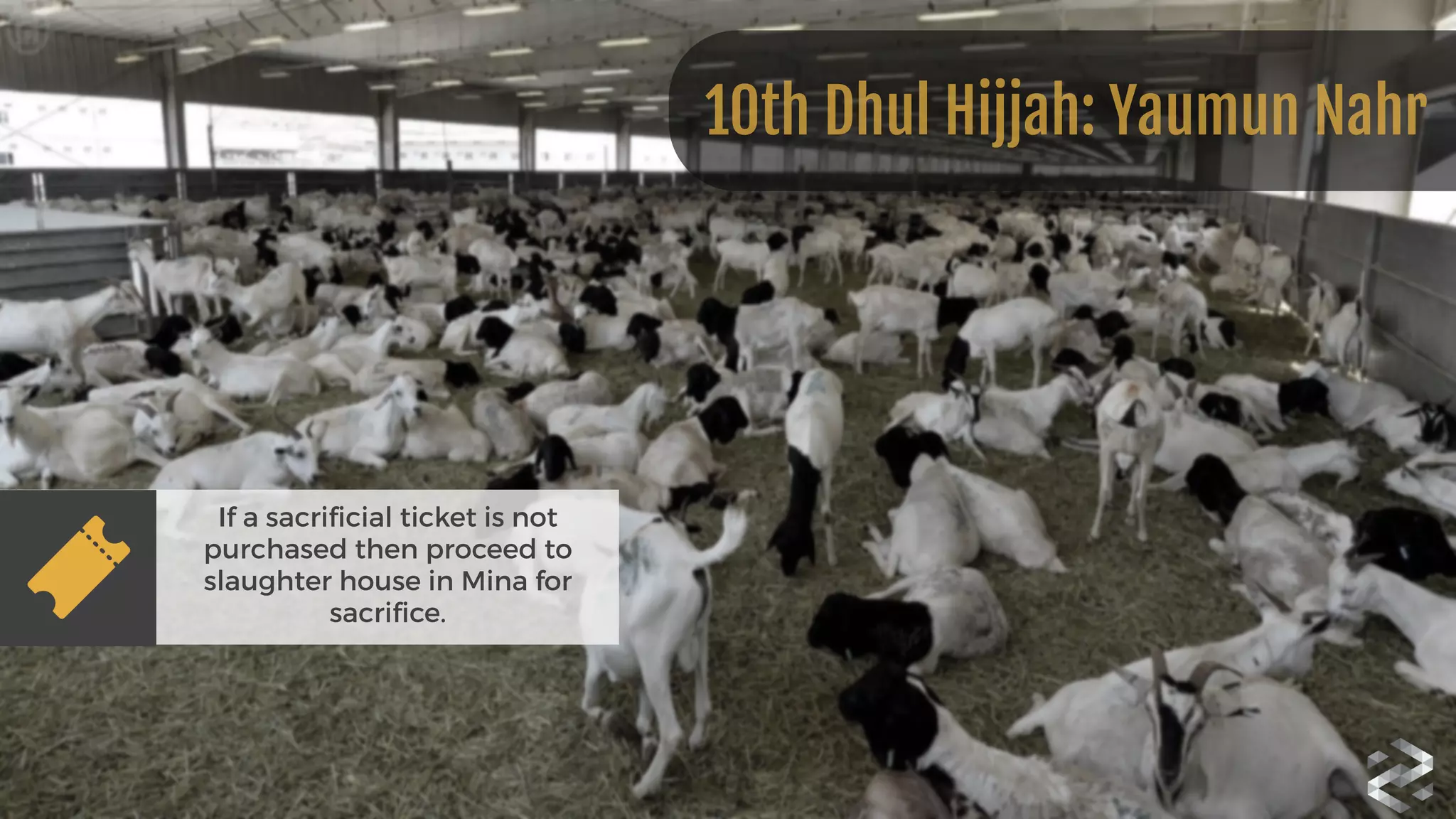 If a sacrificial ticket is not
purchased then proceed to
slaughter house in Mina for
sacrifice.
10th Dhul Hijjah: Yaumun Nahr
 