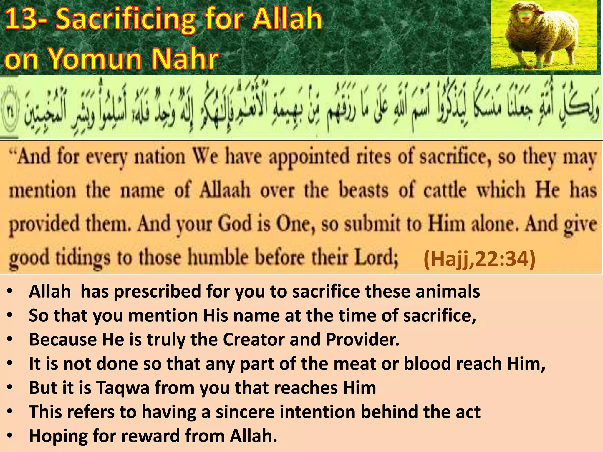 (Hajj,22:34)
•
•
•
•
•
•
•

Allah has prescribed for you to sacrifice these animals
So that you mention His name at the time of sacrifice,
Because He is truly the Creator and Provider.
It is not done so that any part of the meat or blood reach Him,
But it is Taqwa from you that reaches Him
This refers to having a sincere intention behind the act
Hoping for reward from Allah.

 