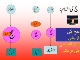 قران 
حج کی 
قربانی 
عید الضحی 
کی قربانی 
 