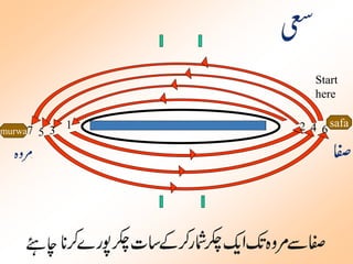 murwa 
Start 
here 
safa 
1 3 2 4 7 5 6 
 