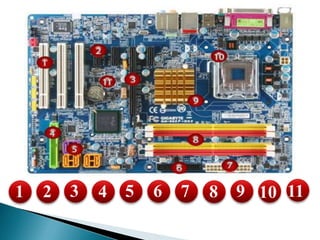 1 2 3 4 5 6 7 8 9 10 11
 