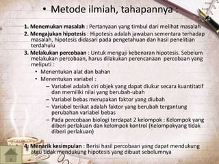 • Metode ilmiah, tahapannya : 
1. Menemukan masalah : Pertanyaan yang timbul dari melihat masalah 
2. Mengajukan hipotesis : Hipotesis adalah jawaban sementara terhadap 
masalah, hipotesis didasari pada pengetahuan dan hasil penelitian 
terdahulu 
3. Melakukan percobaan : Untuk menguji kebenaran hipotesis. Sebelum 
melakukan percobaan, harus dilakukan perencanaan percobaan yang 
meliputi : 
• Menentukan alat dan bahan 
• Menentukan variabel : 
– Variabel adalah ciri objek yang dapat diukur secara kuantitatif 
dan memiliki nilai yang berubah-ubah 
– Variabel bebas merupakan faktor yang diubah 
– Variabel terikat adalah faktor yang berubah tergantung 
perubahan variabel bebas 
– Pada percobaan biologi terdapat 2 kelompok : Kelompok yang 
diberi perlakuan dan kelompok kontrol (Kelompokyang tidak 
diberi perlakuan) 
4. Menarik kesimpulan : Berisi hasil percobaan yang dapat mendukung 
atau tidak mendukung hipotesis yang dibuat sebelumnya 
 