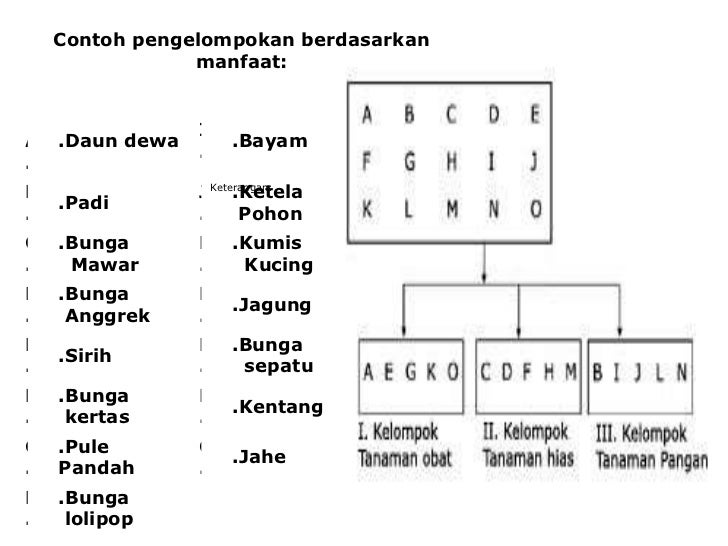 Hakikat biologi kelas x