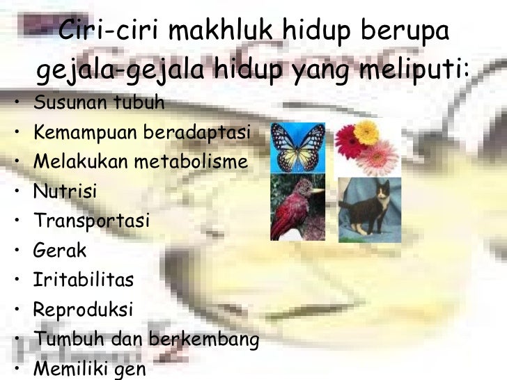 Hakikat biologi kelas x