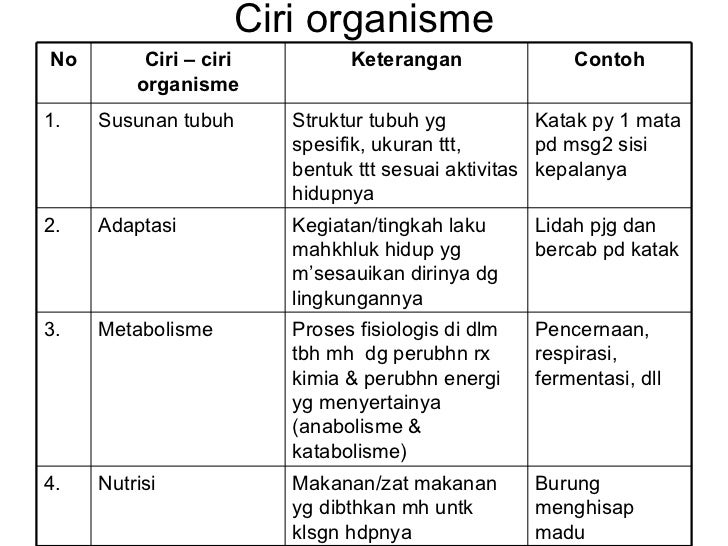 Hakikat biologi kelas x
