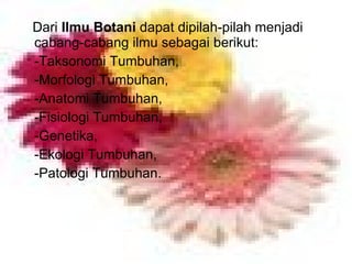 Dari  Ilmu Botani  dapat dipilah-pilah menjadi cabang-cabang ilmu sebagai berikut:  -Taksonomi Tumbuhan,  -Morfologi Tumbuhan,  -Anatomi Tumbuhan,  -Fisiologi Tumbuhan,  -Genetika,  -Ekologi Tumbuhan,  -Patologi Tumbuhan. 