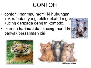 CONTOH contoh : harimau memiliki hubungan kekerabatan yang lebih dekat dengan kucing daripada dengan komodo, karena harimau dan kucing memiliki  banyak persamaan ciri  