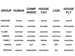 GROUP HUMAN CHIMPANZEE HOUSE CAT LION HOUSEFLY KINGDOM animal animal animal animal animal PHYLUM chordate chordate chordate chordate arthropoda   CLASS mammal mammal mammal mammal insect     ORDER primates primates carnivora carnivora diptera       FAMILY hominidae pongidae felidae felidae muscidae         GENUS homo pan felis felis musca       SPECIES sapiens troglodytes domestica leo domestica 