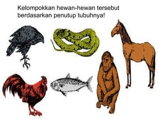 Kelompokkan hewan-hewan tersebut berdasarkan penutup tubuhnya!  