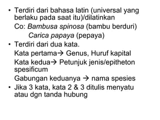 Terdiri dari bahasa latin (universal yang berlaku pada saat itu)/dilatinkan Co:  Bambusa spinosa  (bambu berduri)   Carica papaya  (pepaya) Terdiri dari dua kata. Kata pertama   Genus, Huruf kapital Kata kedua   Petunjuk jenis/epitheton spesificum Gabungan keduanya    nama spesies Jika 3 kata, kata 2 & 3 ditulis menyatu atau dgn tanda hubung 