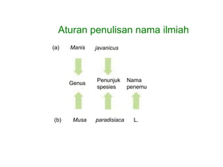 Aturan penulisan nama ilmiah (a) Manis javanicus Genus Penunjuk spesies Nama  penemu (b) Musa paradisiaca L. 