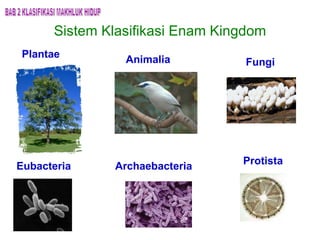 Sistem Klasifikasi Enam Kingdom BAB 2 KLASIFIKASI MAKHLUK HIDUP Plantae Animalia Fungi Protista Archaebacteria Eubacteria 
