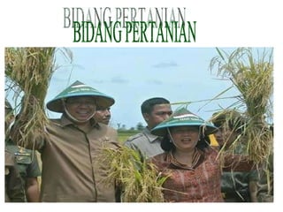 BIDANG PERTANIAN 