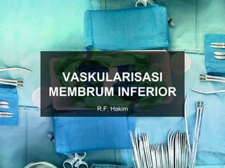 VASKULARISASI
MEMBRUM INFERIOR
R.F. Hakim
 