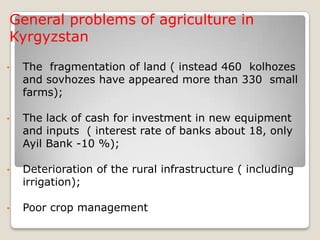 General problems of agriculture in
Kyrgyzstan
• The fragmentation of land ( instead 460 kolhozes
and sovhozes have appeared more than 330 small
farms);
• The lack of cash for investment in new equipment
and inputs ( interest rate of banks about 18, only
Ayil Bank -10 %);
• Deterioration of the rural infrastructure ( including
irrigation);
• Poor crop management
 