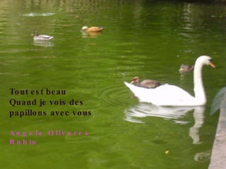 Tout est beau Quand je vois des papillons avec vous Angela Olivares Rubio 