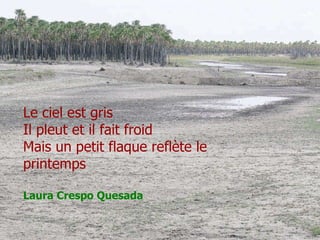 Le ciel est gris Il pleut et il fait froid Mais un petit flaque reflète le printemps Laura Crespo Quesada 