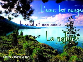 Carlos Catena Cózar 