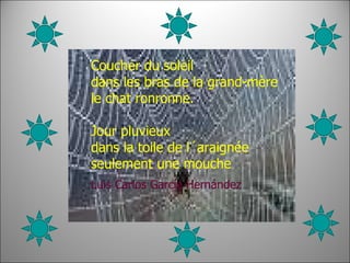 Coucher du soleil dans les bras de la grand-mère le chat ronronne. Jour pluvieux dans la toile de l´araignée seulement une mouche Luis Carlos García Hernández  