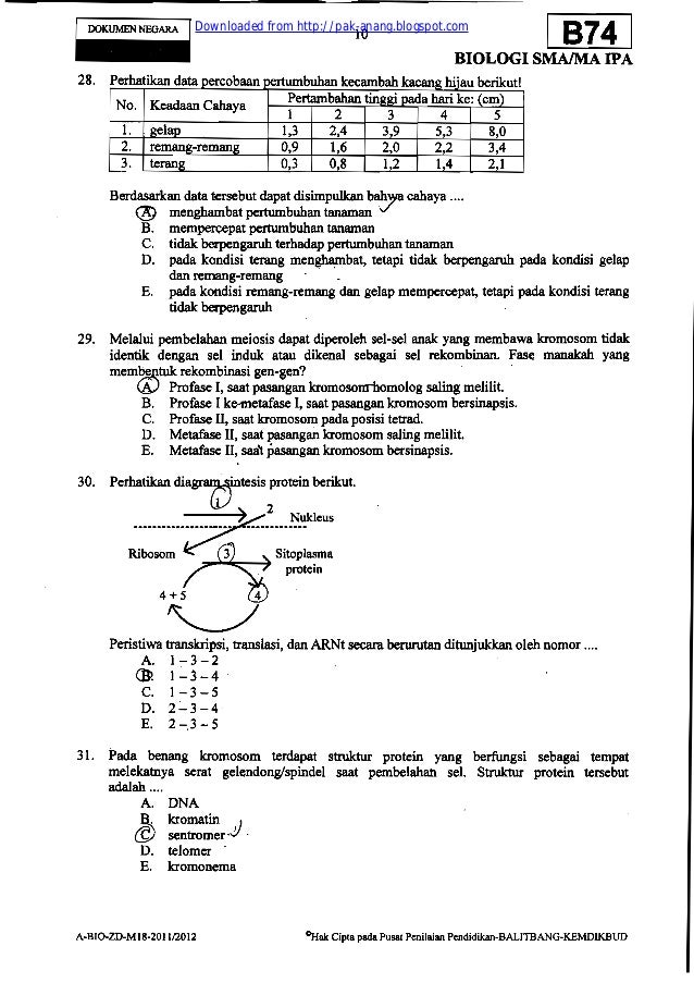 (Hal 1 30)kumpulan arsip soal un biologi sma tahun 20092012