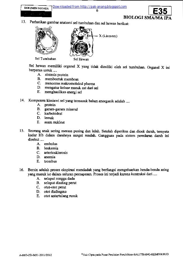 Hal 1 30 Kumpulan Arsip Soal Un Biologi Sma Tahun 2009 2012 Hal 1 30 Kumpulan Arsip Soal Un Biologi Sma Tahun 2009 2012