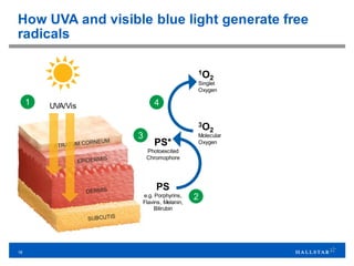 18
1 4
How UVA and visible blue light generate free
radicals
UVA/Vis
PS*
Photoexcited
Chromophore
PS
e.g. Porphyrins,
Flavins, Melanin,
Bilirubin
1O2
Singlet
Oxygen
3O2
Molecular
Oxygen
3
2
 