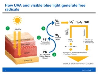 19
3
2
4
How UVA and visible blue light generate free
radicals
PS*
Photoexcited
Chromophore
PS
e.g. Porphyrins,
Flavins, Melanin,
Bilirubin
1O2
Singlet
Oxygen
3O2
Molecular
Oxygen
O2
.-
H2O2 •OH
VISIBLE SIGNS OF PHOTOAGING
MAPK
Pathway
Oxidation
▲ AP-1
▼ TGF-b
▲ DNA Damage
▲ Lipid Damage
▲ Protein Damage
▲ Collagen I, III Breakdown & Inflammation
▼Procollagen Production
▲ IL1-a, IL-6, MMP-1
1 UVA/Vis
 
