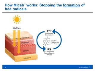 20
How Micah™
works: Stopping the formation of
free radicals
PS*
Photoexcited
Chromophore
PS
e.g. Porphyrins,
Flavins, Melanin,
Bilirubin
MicahTM
Compound
UVA/Vis
 