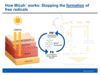 21
x
1O2
Singlet
Oxygen
3O2
Molecular
Oxygen
How Micah™
works: Stopping the formation of
free radicals
O2
.-
H2O2 •OH
VISIBLE SIGNS OF PHOTOAGING
MAPK
Pathway
Oxidation
▲ AP-1
▼ TGF-b
▲ DNA Damage
▲ Lipid Damage
▲ Protein Damage
▲ Collagen I, III Breakdown & Inflammation
▼Procollagen Production
▲ IL1-a, IL-6, MMP-1
UVA/Vis
PS*
Photoexcited
Chromophore
PS
e.g. Porphyrins,
Flavins, Melanin,
Bilirubin
MicahTM
Compound
 