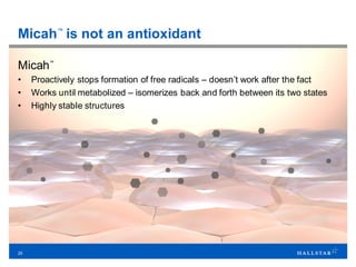 25
Micah™
is not an antioxidant
Micah™
• Proactively stops formation of free radicals – doesn’t work after the fact
• Works until metabolized – isomerizes back and forth between its two states
• Highly stable structures
 