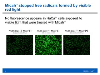 27
Micah™
stopped free radicals formed by visible
red light
No fluorescence appears in HaCaT cells exposed to
visible light that were treated with MicahTM
Visible Light (-) MicahTM
(-) Visible Light (+) MicahTM
(-) Visible Light (+) MicahTM
(+)
Cells pre-treated w ith ALA Cells pre-treated w ith ALA Cells pre-treated w ith ALA
 