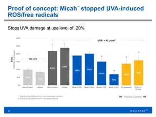 28
Proof of concept: Micah™
stopped UVA-induced
ROS/free radicals
Stops UVA damage at use level of .20%
* Significantly differentfrom non-irradiated controls
# Significantly differentfrom irradiated vehicle
Positive Controls
 