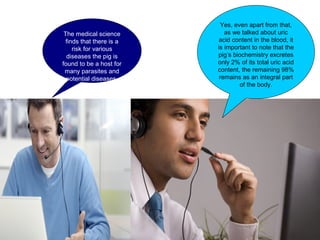 Yes, even apart from that,
as we talked about uric
acid content in the blood, it
is important to note that the
pig’s biochemistry excretes
only 2% of its total uric acid
content, the remaining 98%
remains as an integral part
of the body.
The medical science
finds that there is a
risk for various
diseases the pig is
found to be a host for
many parasites and
potential diseases.
 