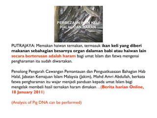 PUTRAJAYA: Memakan haiwan ternakan, termasuk ikan keli yang diberi
makanan sebahagian besarnya organ dalaman babi atau haiwan lain
secara berterusan adalah haram bagi umat Islam dan fatwa mengenai
pengharaman itu sudah diwartakan.

Penolong Pengarah Cawangan Pemantauan dan Penguatkuasaan Bahagian Hab
Halal, Jabatan Kemajuan Islam Malaysia (Jakim), Mohd Amri Abdullah, berkata
fatwa pengharaman itu wajar menjadi panduan kepada umat Islam bagi
mengelak membeli hasil ternakan haram dimakan…(Berita harian Online,
18 January 2011)

(Analysis of Pig DNA can be performed)
 