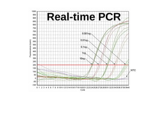 Real-time PCR




Sensitivity test of pork primer with 10-fold serial dilutions
Detection - 0.001ng of pork DNA. This is an essential discovery in
          terms of Halal identification of food products
 