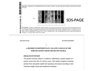 SDS-PAGE
 