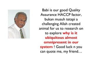 Babi is our good Quality
 Assurance HACCP factor,
    bukan musuh tetapi a
  challenging Allah created
animal for us to research on
    to explore why is it
    ubiquitous almost
   omnipresent in our
 system ! Good luck n you
 can quote me, my friend…
 